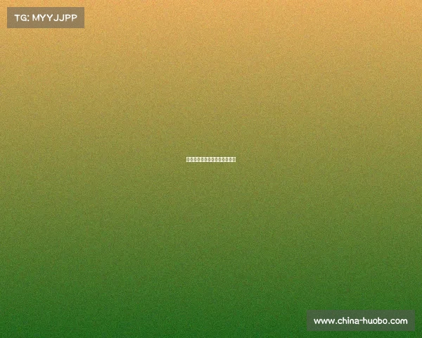 曼城在欧冠小组赛中迎战拉齐奥 曼城在欧冠小组赛中迎战拉齐奥